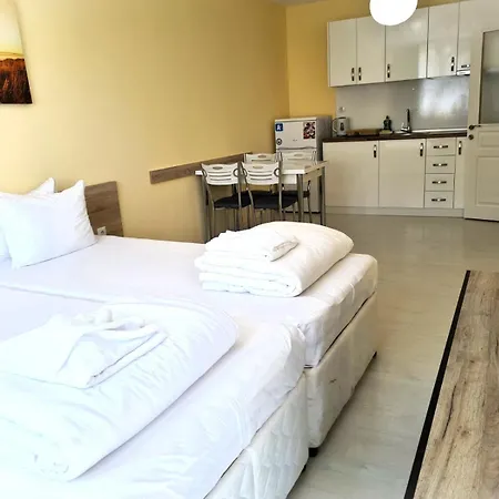 アパートホテル Stamopolu Lux With Pool View プリモルスコ